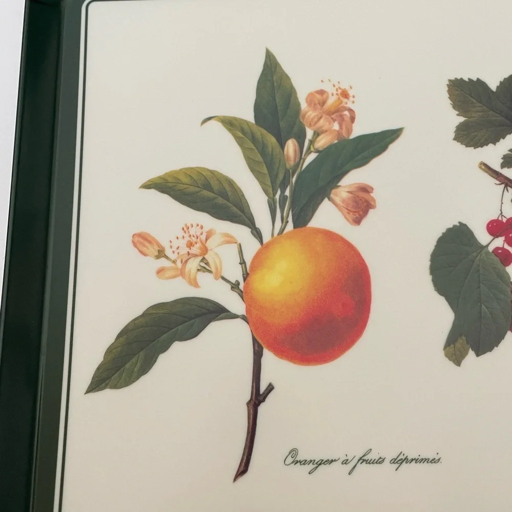 Vintage Mebel PJ Redoute Artist Fruit Motif Italian Melamine Tray
